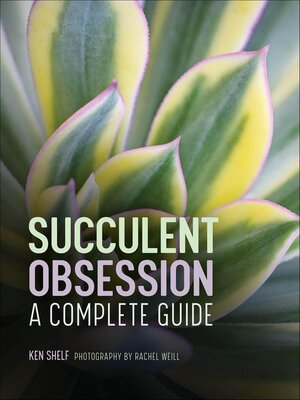 cover image of Succulent Obsession